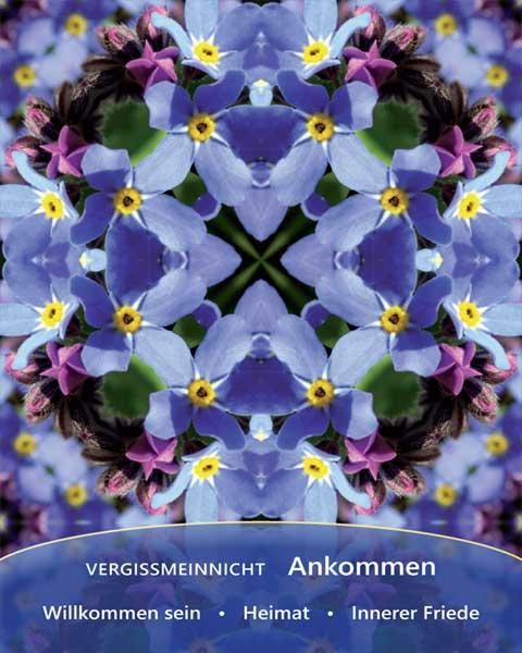 Produktbild: Heilfroh - EnergieKartenSet