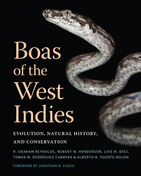 Produktbild: Puente-Rolon, A: Boas of the West Indies