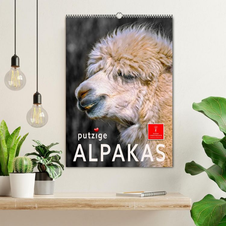 Produktbild: Putzige Alpakas (Wandkalender 2026 DIN A2 hoch), CALVENDO Monatskalender