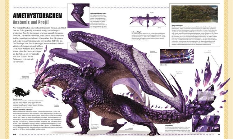 Produktbild: Dungeons & Dragons Das Buch der Drachen