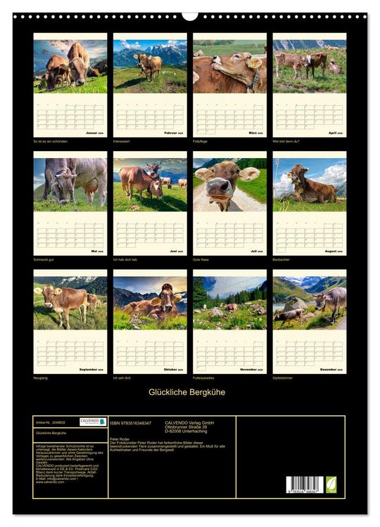 Produktbild: Gl&uuml;ckliche Bergk&uuml;he (Wandkalender 2026 DIN A2 hoch), CALVENDO Monatskalender