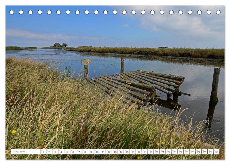 Produktbild: Sommertage auf Hallig Hooge (Tischkalender 2026 DIN A5 quer), CALVENDO Monatskalender