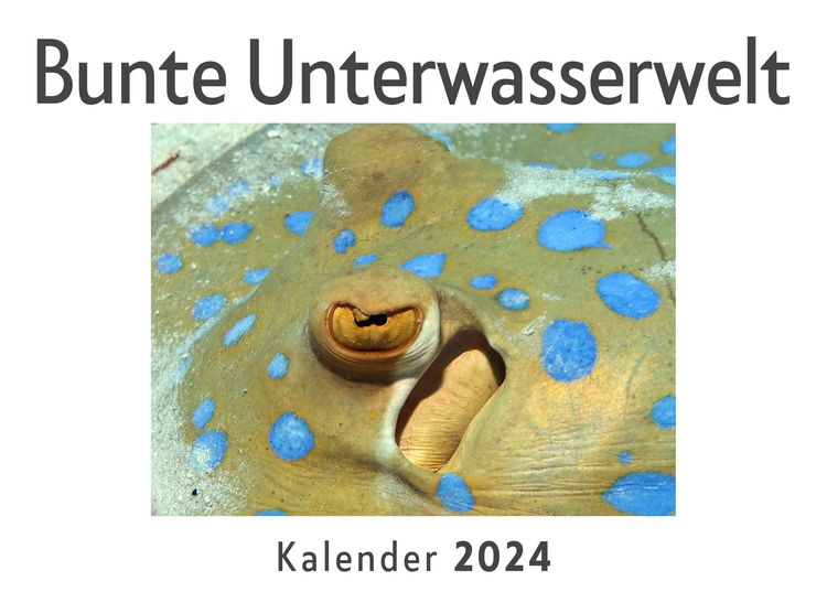 Produktbild: Bunte Unterwasserwelt (Wandkalender 2024, Kalender DIN A4 quer, Monatskalender im Querformat mit Kalendarium, Das perfekte Geschenk)