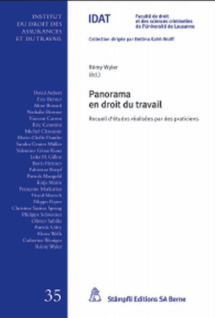 Produktbild: Panorama en droit du travail