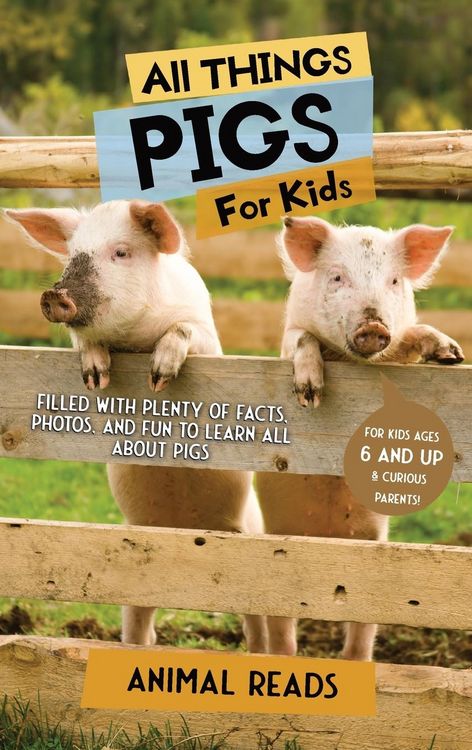 Produktbild: All Things Pigs For Kids