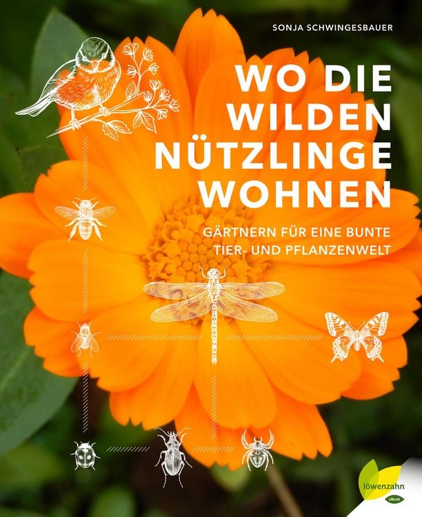 Produktbild: Wo die wilden N&uuml;tzlinge wohnen