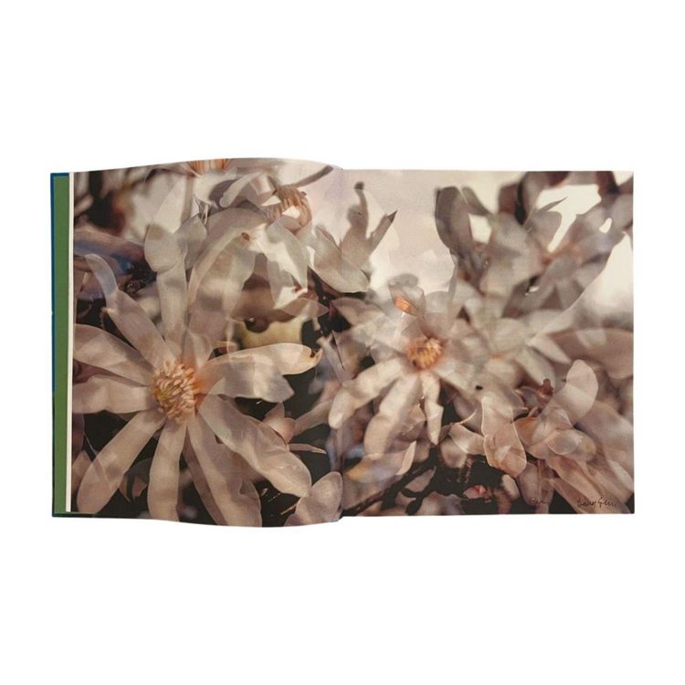 Produktbild: Flowers!