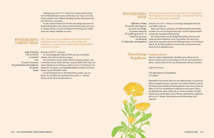 Produktbild: Das besondere Kr&auml;uterkochbuch