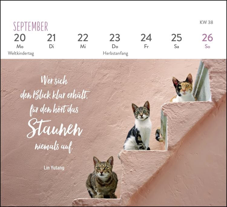 Produktbild: Mini-Wochenkalender 2027: F&uuml;r Katzenfreunde