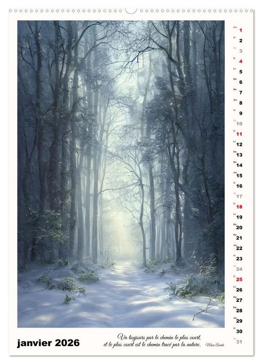 Produktbild: Chemins de fantaisie (Calendrier mural 2026 DIN A2 horizontal), CALVENDO calendrier mensuel