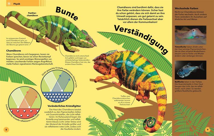 Produktbild: Tierisch clever