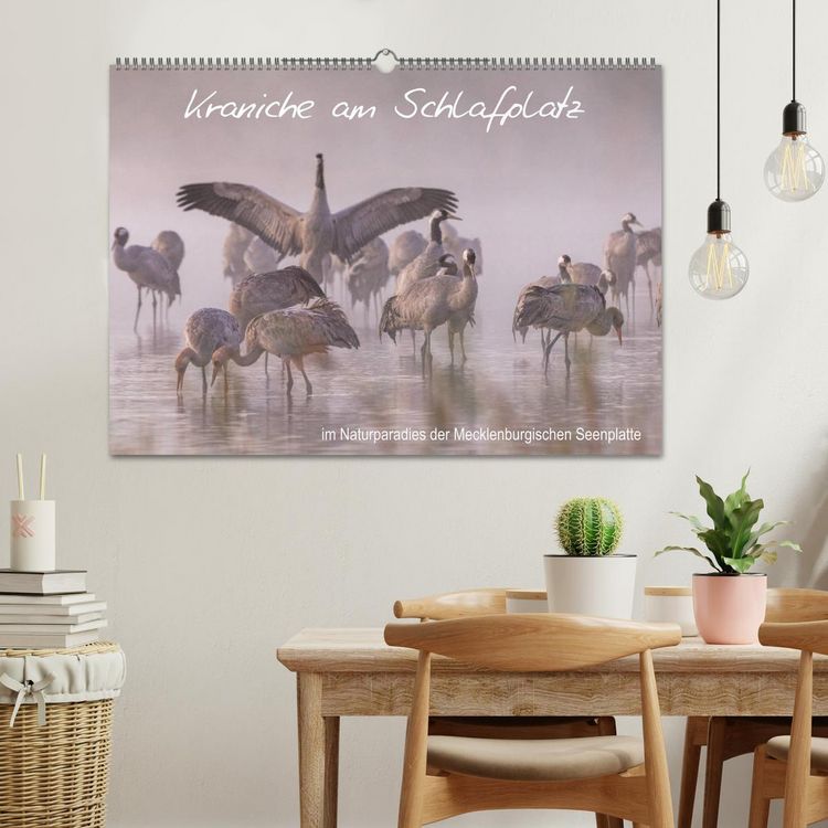 Produktbild: Kraniche am Schlafplatz - im Naturparadies der Mecklenburgischen Seenplatte (Wandkalender 2026 DIN A2 quer), CALVENDO Monatskalender