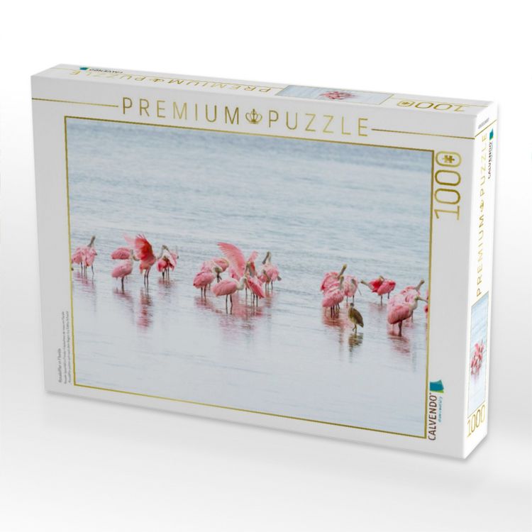 Produktbild: CALVENDO Puzzle Rosal&ouml;ffler in Florida | 1000 Teile Lege-Gr&ouml;&szlig;e 64x48cm Foto-Puzzle f&uuml;r gl&uuml;ckliche Stunden