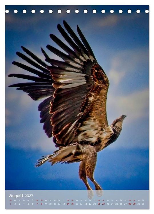 Produktbild: Adler in Afrika (Tischkalender 2027 DIN A5 hoch), CALVENDO Monatskalender