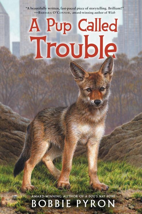 Produktbild: A Pup Called Trouble