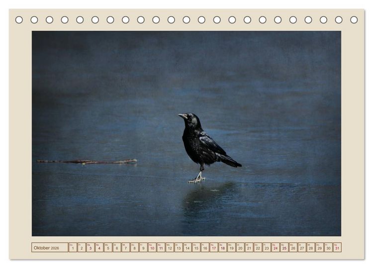 Produktbild: V&ouml;gel am Chemnitzer Schlossteich (Tischkalender 2026 DIN A5 quer), CALVENDO Monatskalender