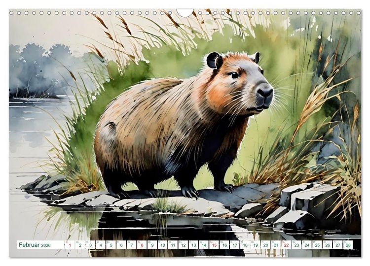 Produktbild: Das Capybara (Wandkalender 2026 DIN A3 quer), CALVENDO Monatskalender