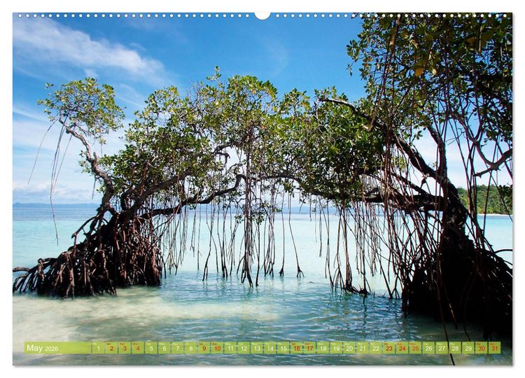 Produktbild: Mangroves - Valuable Habitat (High Quality Premium Wall Calendar 2026 DIN A2 landscape),CALVENDO 12 Month Wall Calendar