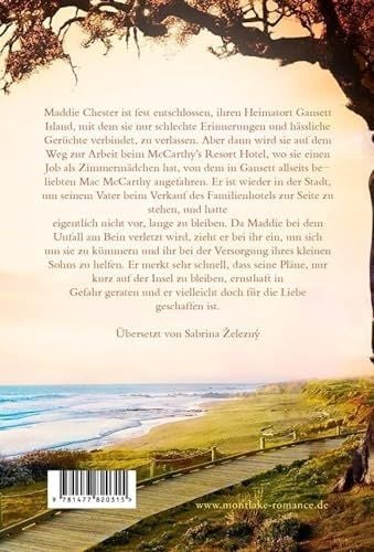 Produktbild: Liebe auf Gansett Island