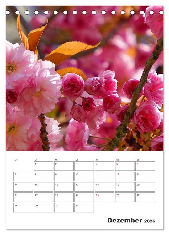 Produktbild: BL&Uuml;TENZAUBER (Tischkalender 2026 DIN A5 hoch), CALVENDO Monatskalender