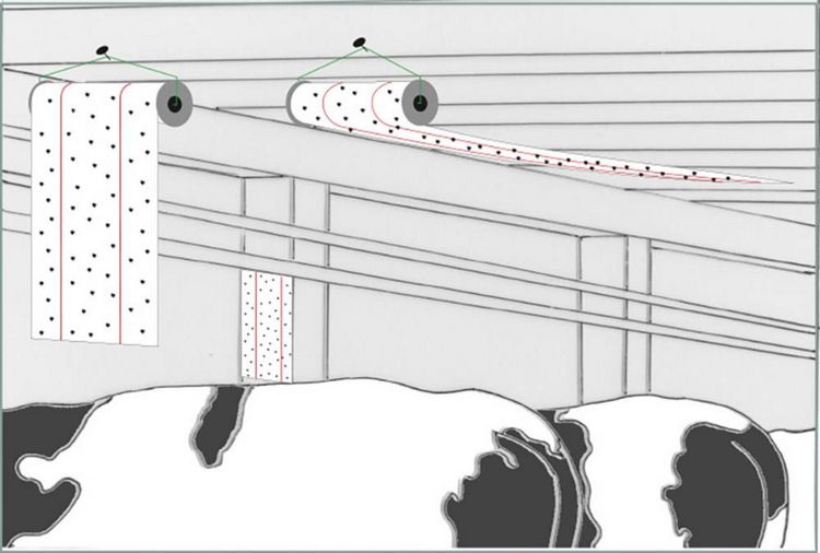 Produktbild: Redtop Fliegenrolle 31006 Fliegenfalle Klebefolie, Lockstoff (L x B) 9 m x 0.3 m Gelb 1 St.