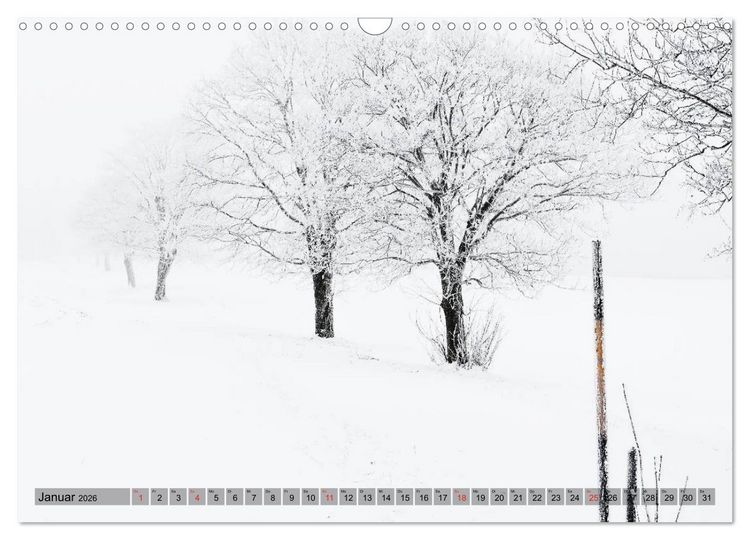 Produktbild: Franken WildRomantisch (Wandkalender 2026 DIN A3 quer), CALVENDO Monatskalender
