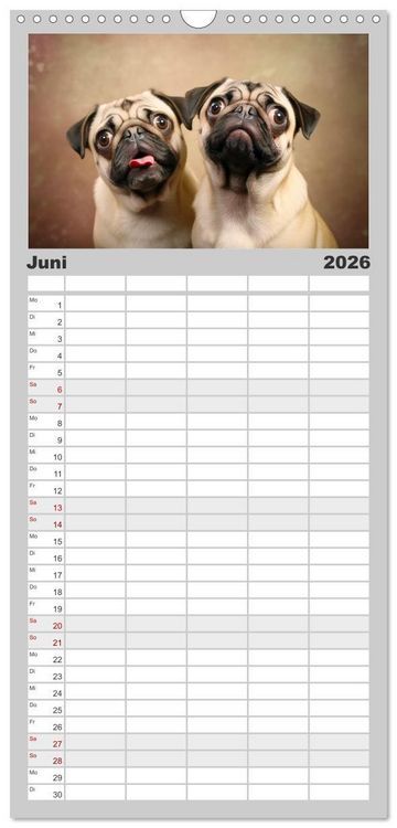 Produktbild: Familienplaner 2026 - Unzertennlich mit 5 Spalten (Wandkalender, 21 x 45 cm) CALVENDO