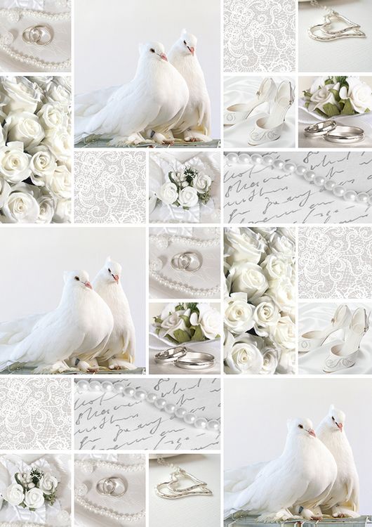 Produktbild: URSUS Starlight "Hochzeit", wei&szlig;/silber