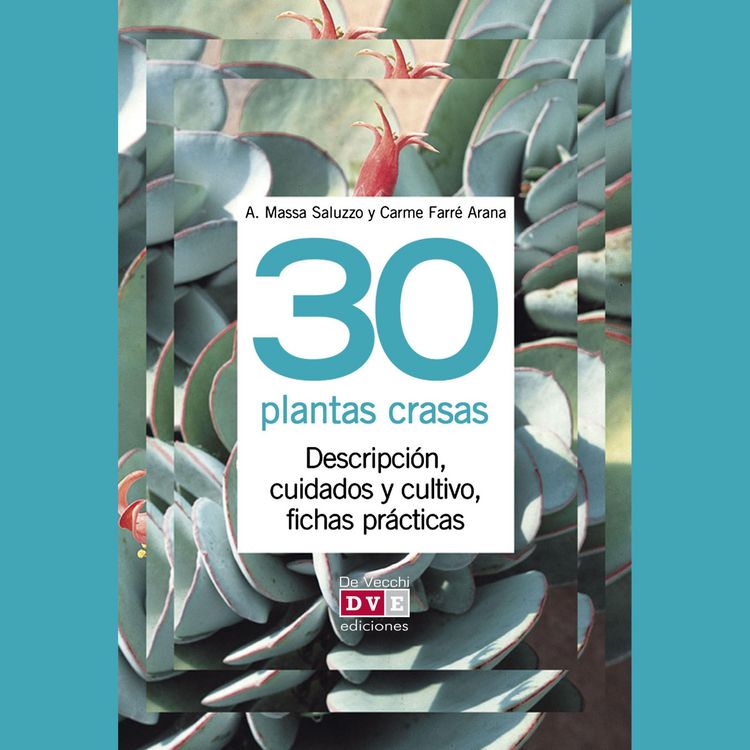 Produktbild: 30 plantas crasas