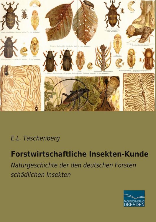 Produktbild: Forstwirtschaftliche Insekten-Kunde