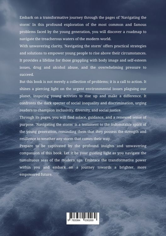 Produktbild: Navigating the storm