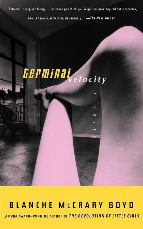 Produktbild: Terminal Velocity