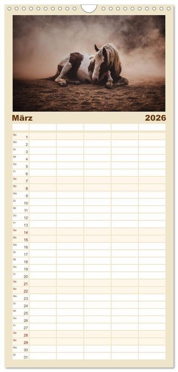 Produktbild: Familienplaner 2026 - Spiegel deiner Seele mit 5 Spalten (Wandkalender, 21 x 45 cm) CALVENDO