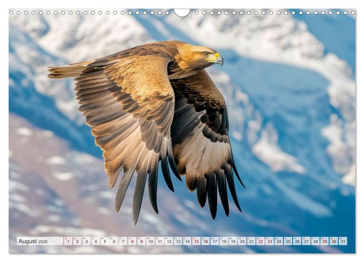 Produktbild: Bedrohte Tierwelt SCHATTEN DES VERSCHWINDENS (Wandkalender 2026 DIN A3 quer), CALVENDO Monatskalender