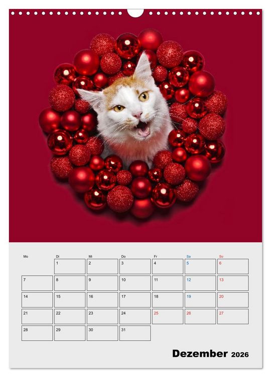 Produktbild: Crazy Catz. (Wandkalender 2026 DIN A3 hoch), CALVENDO Monatskalender