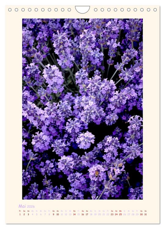 Produktbild: Lavendel (Wandkalender 2026 DIN A4 hoch), CALVENDO Monatskalender