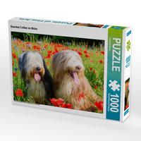Produktbild: CALVENDO Puzzle Bearded Collies im Mohn | 1000 Teile Lege-Gr&ouml;&szlig;e 64x48cm Foto-Puzzle f&uuml;r gl&uuml;ckliche Stunden