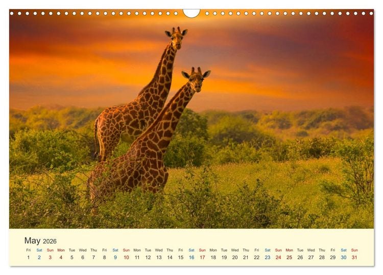Produktbild: Wonderful Kenya (Wall Calendar 2026 DIN A3 landscape), CALVENDO 12 Month Wall Calendar