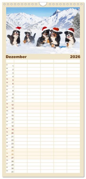 Produktbild: Familienplaner 2026 - Berner Sennenhund - Ein Freund auf vier Pfoten mit 5 Spalten (Wandkalender, 21 x 45 cm) CALVENDO