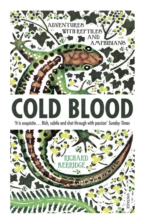 Produktbild: Cold Blood