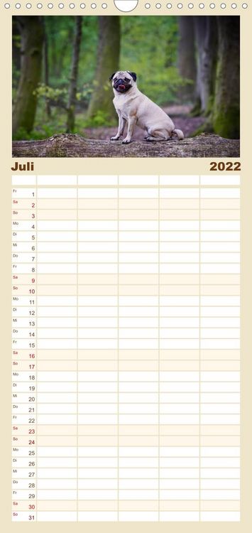 Produktbild: Mops - Familienplaner hoch (Wandkalender 2022 , 21 cm x 45 cm, hoch)