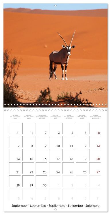 Produktbild: Namibian Adventure (Wall Calendar 2026 12 &times; 12 Inch) CALVENDO 12 Month Wall Calendar
