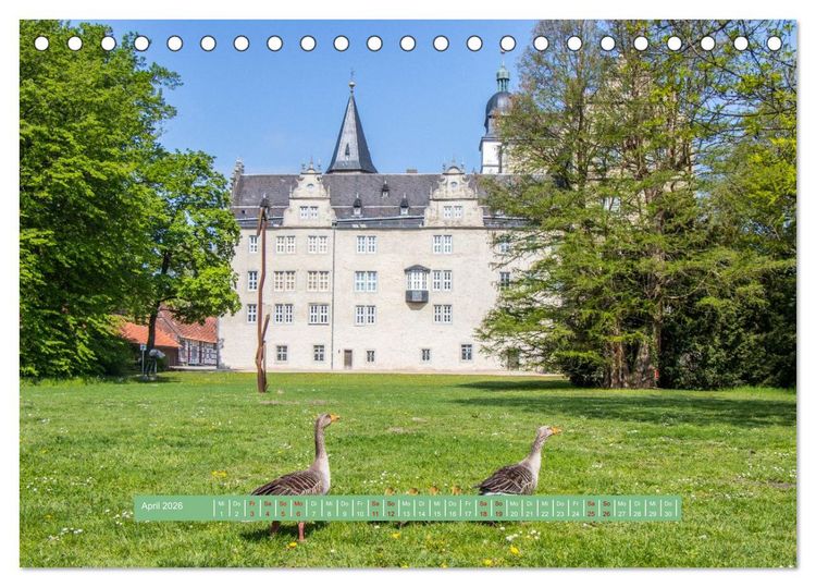Produktbild: Wolfsburg - einfach tierisch (Tischkalender 2026 DIN A5 quer), CALVENDO Monatskalender