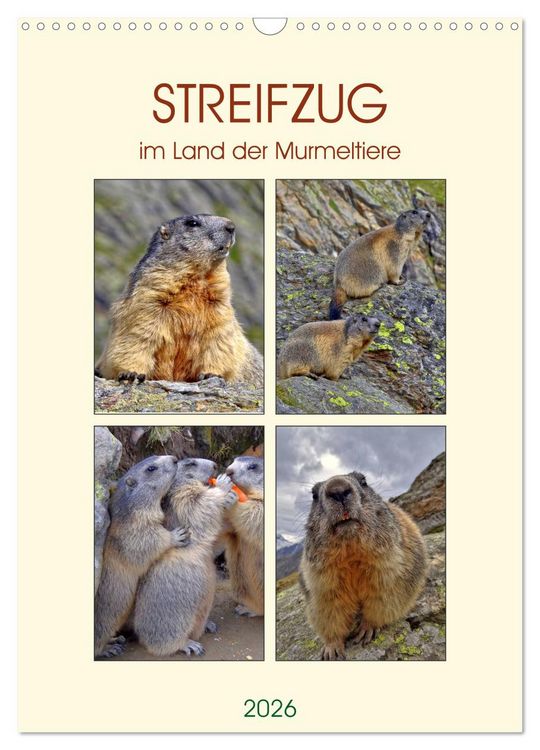 Produktbild: STREIFZUG im Land der Murmeltiere (Wandkalender 2026 DIN A3 hoch), CALVENDO Monatskalender