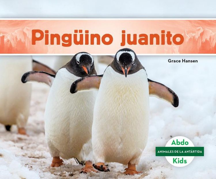 Produktbild: Pinguino Juanito (Gentoo Penguin)