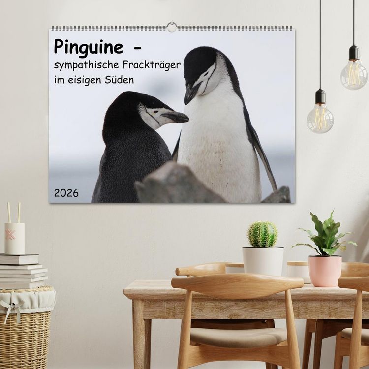 Produktbild: Pinguine - sympathische Fracktr&auml;ger im eisigen S&uuml;den (Wandkalender 2026 DIN A2 quer), CALVENDO Monatskalender
