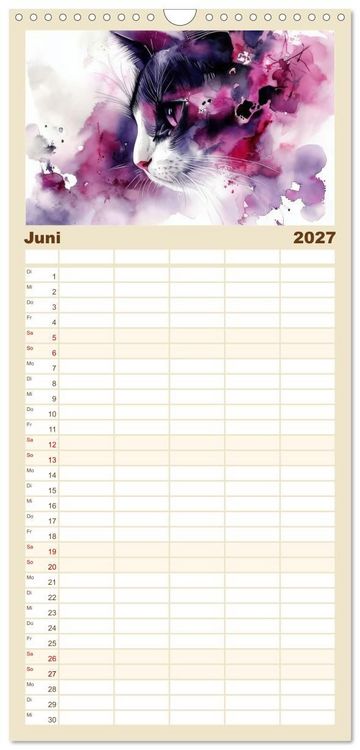 Produktbild: Familienplaner 2027 - Katzensymphonie in Aquarell mit 5 Spalten (Wandkalender, 21 x 45 cm) CALVENDO