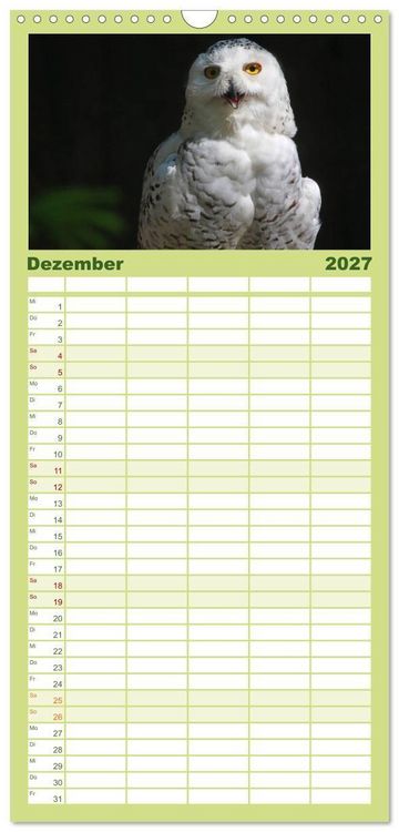 Produktbild: Familienplaner 2027 - Eulen mit 5 Spalten (Wandkalender, 21 x 45 cm) CALVENDO
