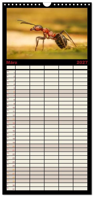 Produktbild: Familienplaner 2027 - Verborgene Wunder mit 5 Spalten (Wandkalender, 21 x 45 cm) CALVENDO