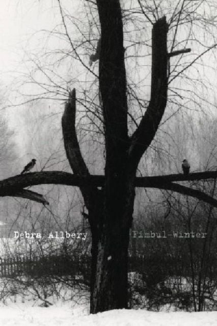 Produktbild: Fimbul-Winter